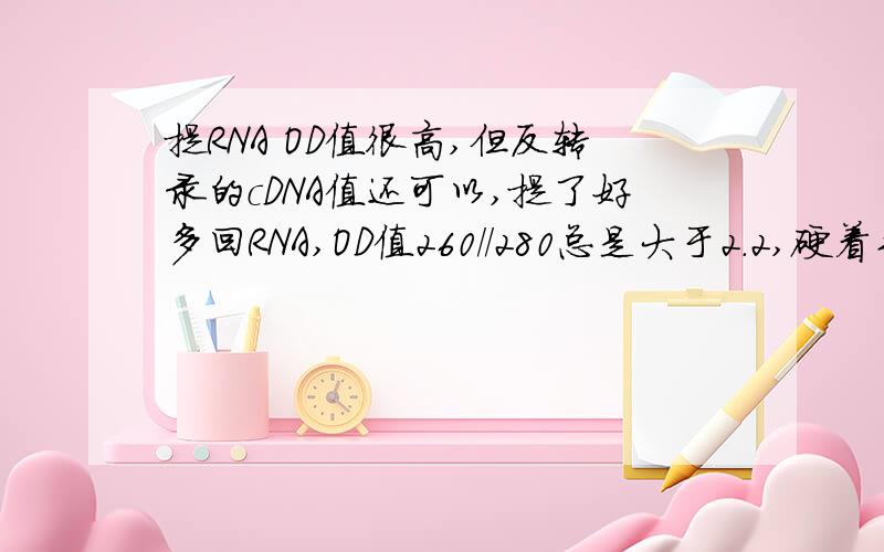 提RNA OD值很高,但反转录的cDNA值还可以,提了好多回RNA,OD值260//280总是大于2.2,硬着头皮做了反转录,用的FEMENTAS的盒子,cDNA OD值260/260是1.7左右,浓度1800ng/ul,这样的cDNA能用吗?是260/280，写错了。大