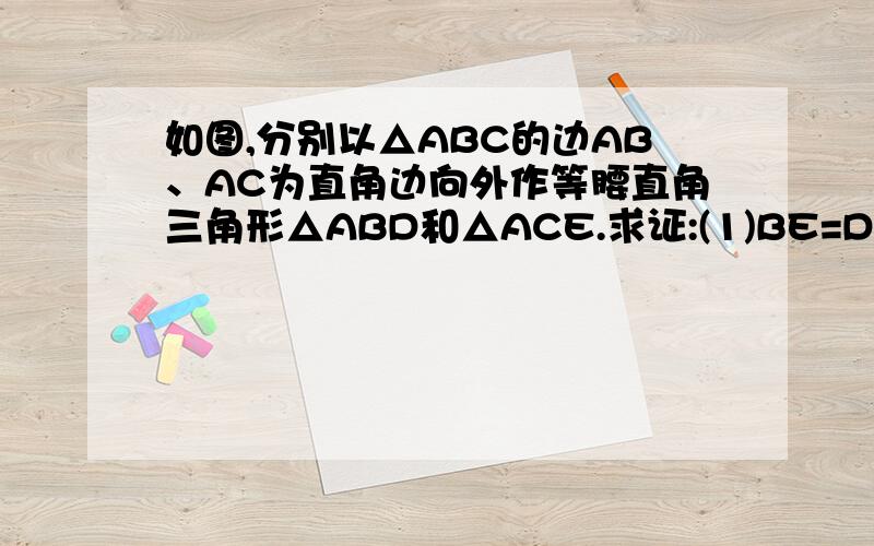 如图,分别以△ABC的边AB、AC为直角边向外作等腰直角三角形△ABD和△ACE.求证:(1)BE=DC；（2）BE⊥CD