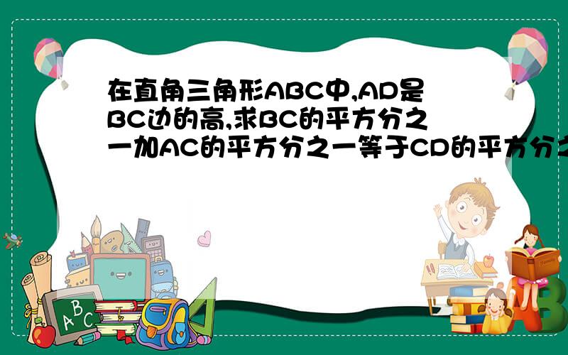 在直角三角形ABC中,AD是BC边的高,求BC的平方分之一加AC的平方分之一等于CD的平方分之一