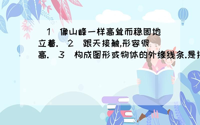 (1)像山峰一样高耸而稳固地立着.(2)跟天接触,形容很高.（3）构成图形或物体的外缘线条.是描写哪几个词语?