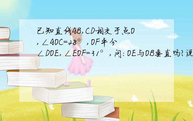 已知直线AB,CD相交于点O,∠AOC=28°,OF平分∠DOE,∠EOF=31°,问：OE与OB垂直吗?说明理由