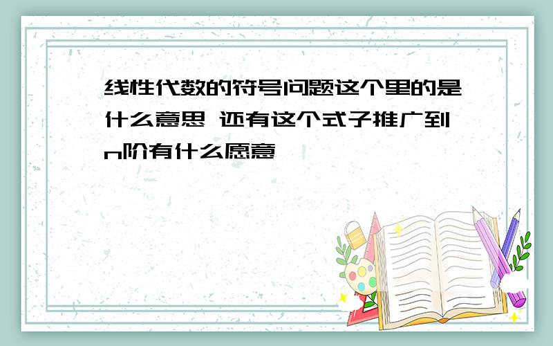 线性代数的符号问题这个里的是什么意思 还有这个式子推广到n阶有什么愿意