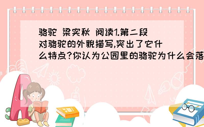 骆驼 梁实秋 阅读1.第二段对骆驼的外貌描写,突出了它什么特点?你认为公园里的骆驼为什么会落到这样悲惨的地步?2.回忆儿时看到驼煤的骆驼,其目的是什么?