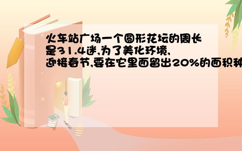 火车站广场一个圆形花坛的周长是31.4迷,为了美化环境,迎接春节,要在它里面留出20%的面积种菊花,种菊花的面积是多少?