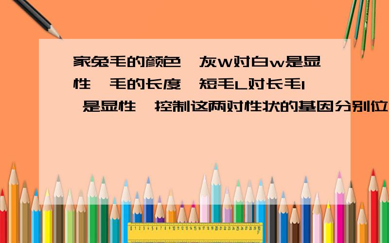 家兔毛的颜色,灰W对白w是显性,毛的长度,短毛L对长毛l 是显性,控制这两对性状的基因分别位于两对同源染色体上,现将长毛灰兔和短毛白兔,两纯种杂交,得到的子一代相互交配后得到子二代,求