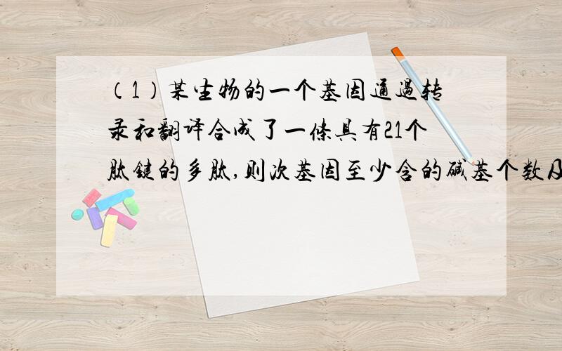 （1）某生物的一个基因通过转录和翻译合成了一条具有21个肽键的多肽,则次基因至少含的碱基个数及合成这条多肽需要的密码子数依次为?（2）已知一段信使RNA有36个碱基,其中A与C共有20个,