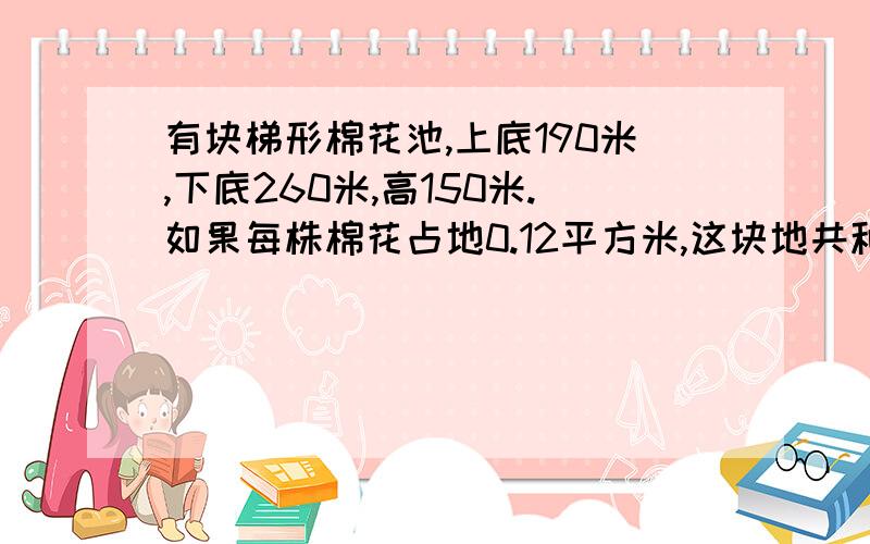 有块梯形棉花池,上底190米,下底260米,高150米.如果每株棉花占地0.12平方米,这块地共种棉花多少株?