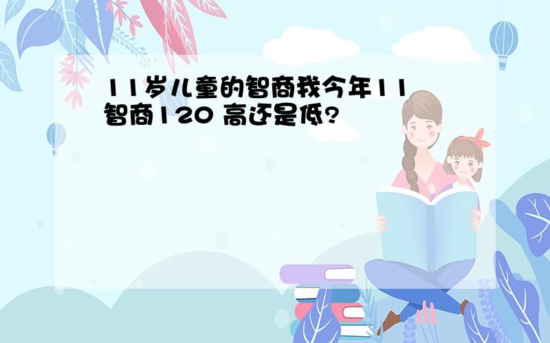 11岁儿童的智商我今年11 智商120 高还是低?