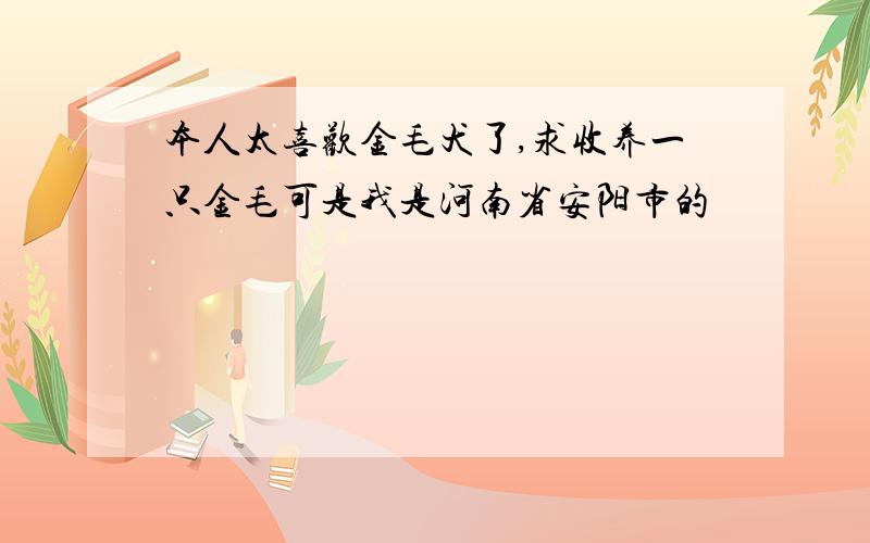 本人太喜欢金毛犬了,求收养一只金毛可是我是河南省安阳市的