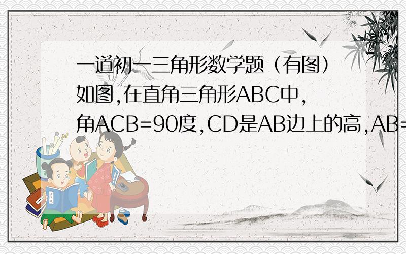 一道初一三角形数学题（有图）如图,在直角三角形ABC中,角ACB=90度,CD是AB边上的高,AB=13,BC=12,求：（1）三角形ABC的面积；（2）CD的长；（3）作出三角形ABC上的中线BE,并求出三角形ABE的面积（4