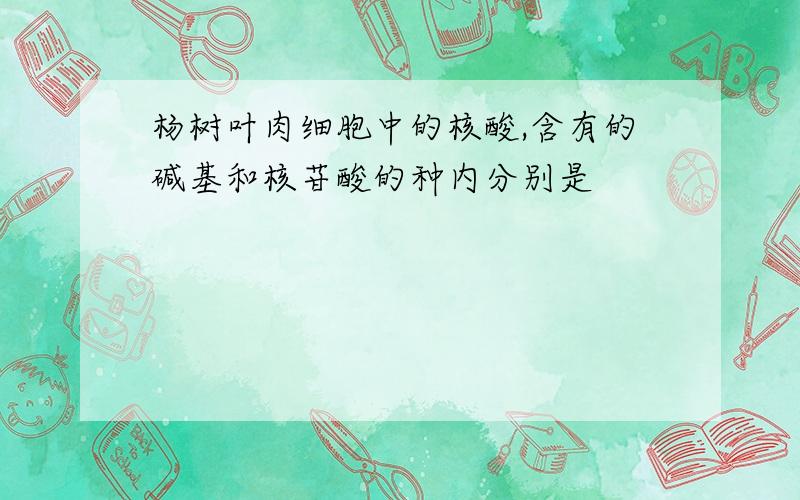 杨树叶肉细胞中的核酸,含有的碱基和核苷酸的种内分别是