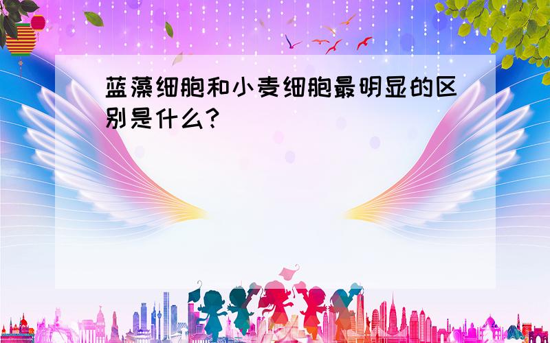 蓝藻细胞和小麦细胞最明显的区别是什么?