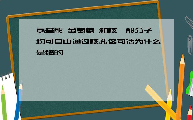 氨基酸 葡萄糖 和核苷酸分子均可自由通过核孔这句话为什么是错的