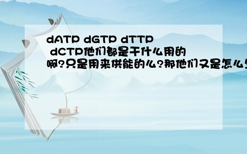 dATP dGTP dTTP dCTP他们都是干什么用的啊?只是用来供能的么?那他们又是怎么生成的呢？在PCR过程中是用来供能还是作为原料DNA呢?