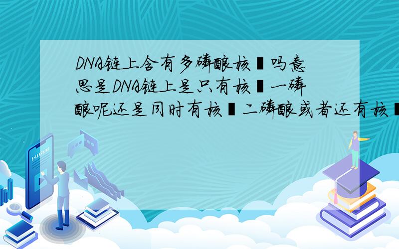 DNA链上含有多磷酸核苷吗意思是DNA链上是只有核苷一磷酸呢还是同时有核苷二磷酸或者还有核苷三磷酸呢