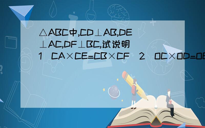 △ABC中,CD⊥AB,DE⊥AC,DF⊥BC,试说明(1)CA×CE=CB×CF(2)OC×OD=OE×OF