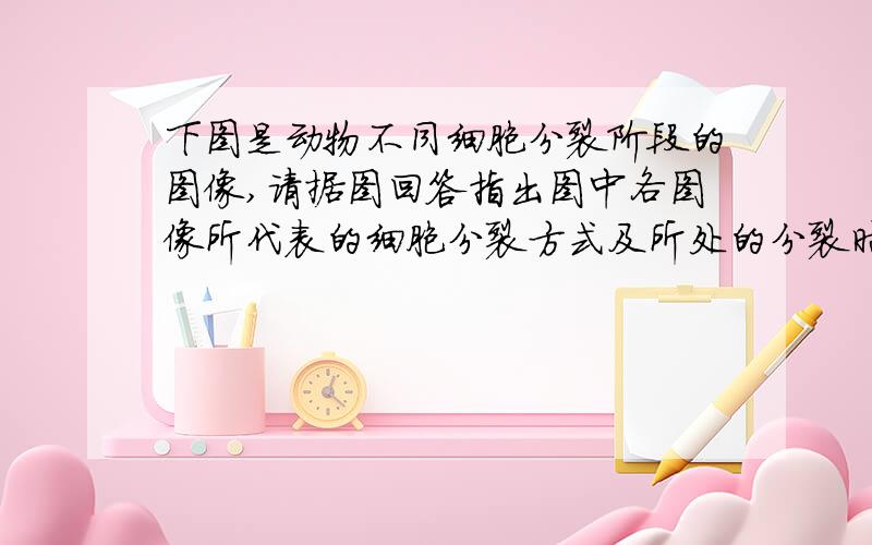 下图是动物不同细胞分裂阶段的图像,请据图回答指出图中各图像所代表的细胞分裂方式及所处的分裂时期关键是J为什么是减数分裂第二次分裂后期就J的不懂别的都懂了J的染色体数不是单数