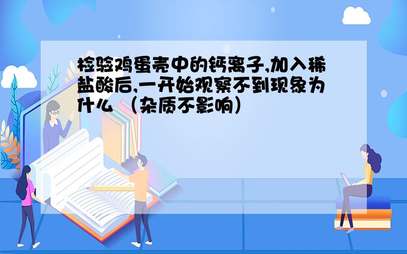 检验鸡蛋壳中的钙离子,加入稀盐酸后,一开始观察不到现象为什么 （杂质不影响）