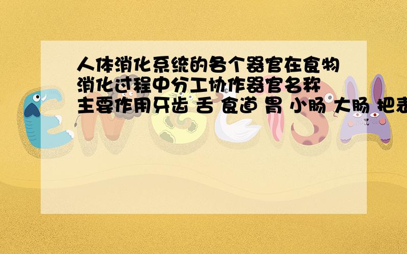 人体消化系统的各个器官在食物消化过程中分工协作器官名称 主要作用牙齿 舌 食道 胃 小肠 大肠 把表格完成