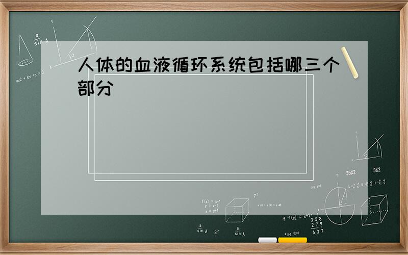 人体的血液循环系统包括哪三个部分