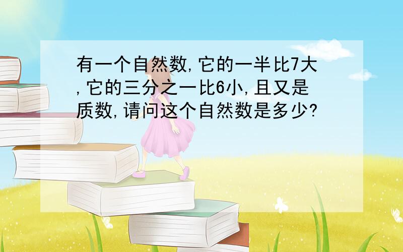 有一个自然数,它的一半比7大,它的三分之一比6小,且又是质数,请问这个自然数是多少?