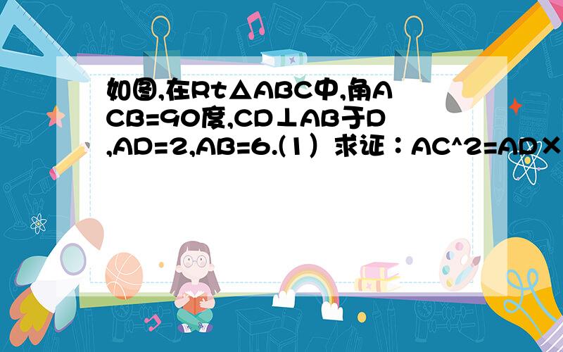 如图,在Rt△ABC中,角ACB=90度,CD⊥AB于D,AD=2,AB=6.(1）求证∶AC^2=AD×AB；(2)求cosA的值.