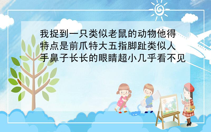 我捉到一只类似老鼠的动物他得特点是前爪特大五指脚趾类似人手鼻子长长的眼睛超小几乎看不见