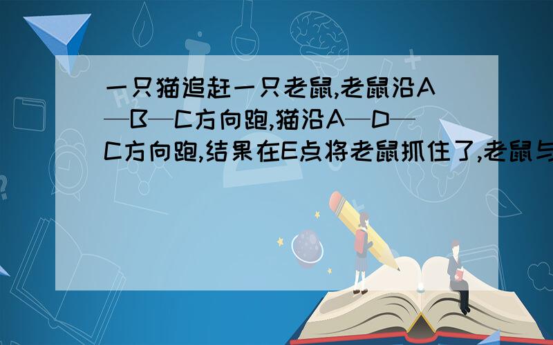 一只猫追赶一只老鼠,老鼠沿A—B—C方向跑,猫沿A—D—C方向跑,结果在E点将老鼠抓住了,老鼠与猫的速度比是11：14,C点与E点相距6米,ABCD为平行四边形,所用的时间相等要把解题思路写完整