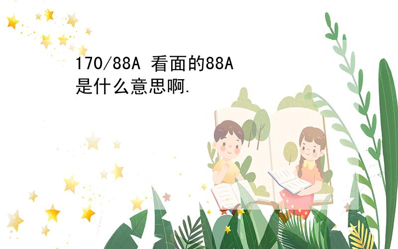 170/88A 看面的88A是什么意思啊.