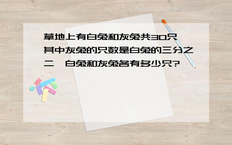 草地上有白兔和灰兔共30只,其中灰兔的只数是白兔的三分之二,白兔和灰兔各有多少只?