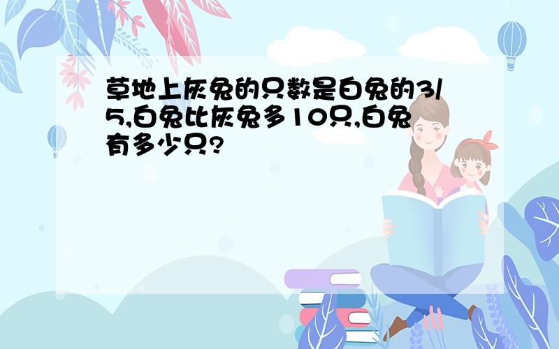 草地上灰兔的只数是白兔的3/5,白兔比灰兔多10只,白兔有多少只?