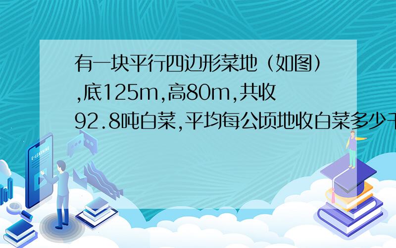 有一块平行四边形菜地（如图）,底125m,高80m,共收92.8吨白菜,平均每公顷地收白菜多少千克?