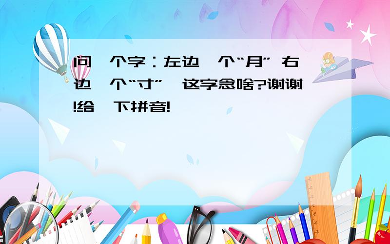 问一个字：左边一个“月” 右边一个“寸”,这字念啥?谢谢!给一下拼音!