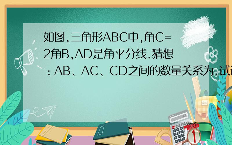 如图,三角形ABC中,角C=2角B,AD是角平分线.猜想：AB、AC、CD之间的数量关系为.试证明你的猜想.