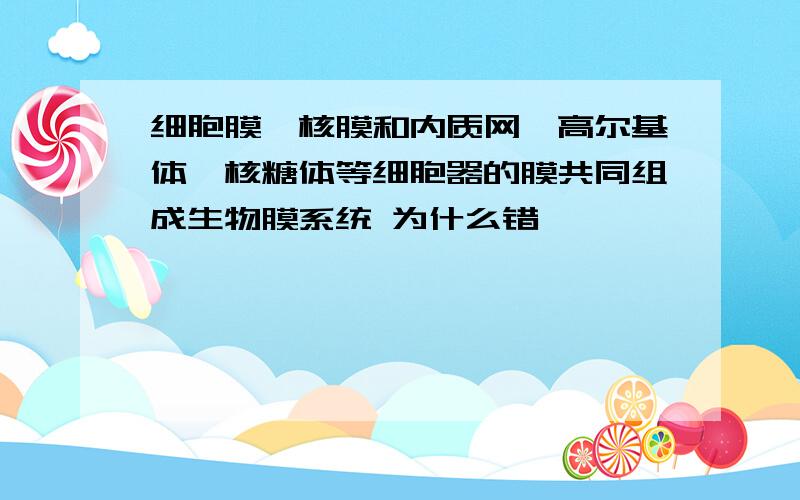 细胞膜、核膜和内质网、高尔基体、核糖体等细胞器的膜共同组成生物膜系统 为什么错