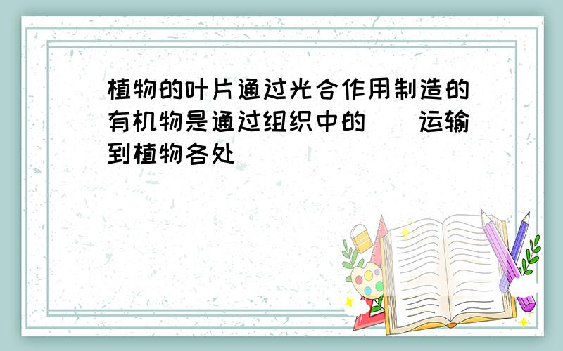 植物的叶片通过光合作用制造的有机物是通过组织中的()运输到植物各处