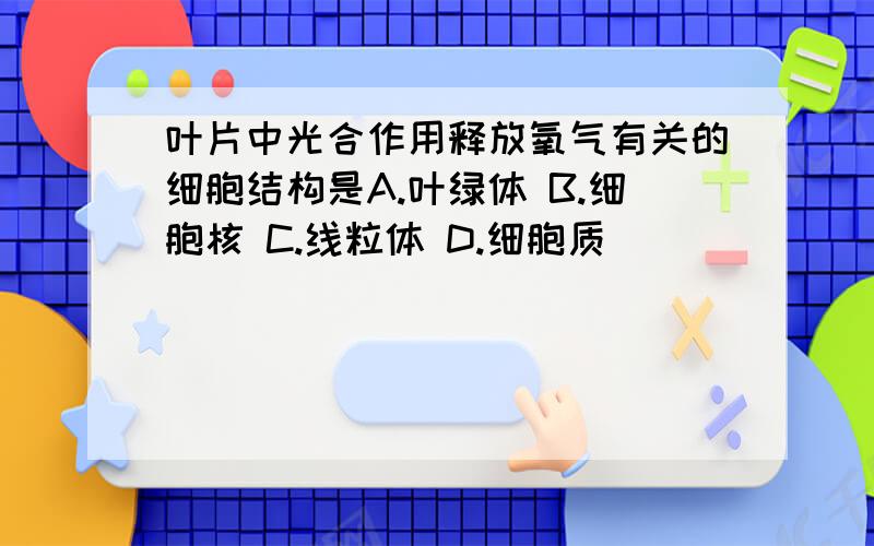 叶片中光合作用释放氧气有关的细胞结构是A.叶绿体 B.细胞核 C.线粒体 D.细胞质