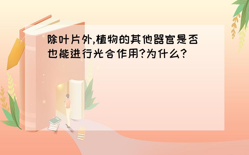 除叶片外,植物的其他器官是否也能进行光合作用?为什么?