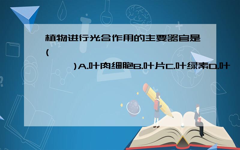 植物进行光合作用的主要器官是(                  )A.叶肉细胞B.叶片C.叶绿素D.叶