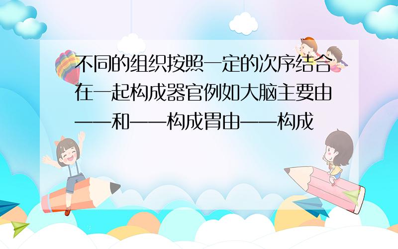 不同的组织按照一定的次序结合在一起构成器官例如大脑主要由——和——构成胃由——构成