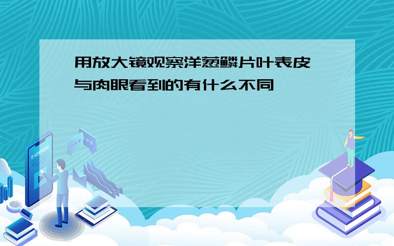 用放大镜观察洋葱鳞片叶表皮,与肉眼看到的有什么不同