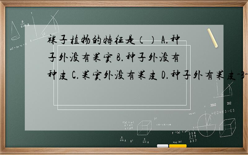 裸子植物的特征是（） A.种子外没有果实 B.种子外没有种皮 C.果实外没有果皮 D.种子外有果皮-3-么么么~大家帮个忙咯啊