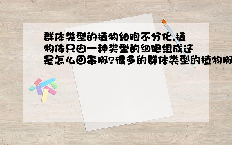 群体类型的植物细胞不分化,植物体只由一种类型的细胞组成这是怎么回事啊?很多的群体类型的植物啊,比如小(大)叶女贞,迎春花,红花继木等等,它们的细胞不分化吗?只有一种类型的细胞组成