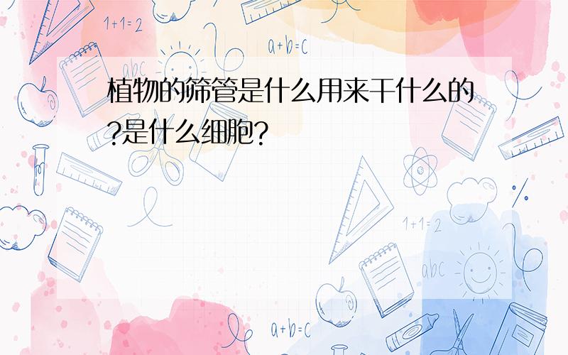 植物的筛管是什么用来干什么的?是什么细胞?