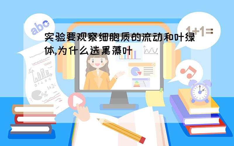 实验要观察细胞质的流动和叶绿体,为什么选黑藻叶