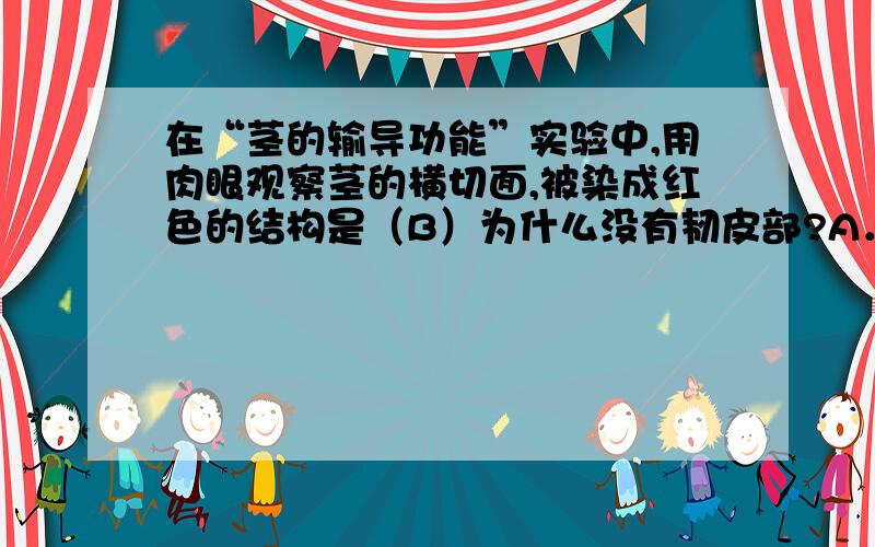 在“茎的输导功能”实验中,用肉眼观察茎的横切面,被染成红色的结构是（B）为什么没有韧皮部?A．韧皮部B．木质部C．导管D．筛管