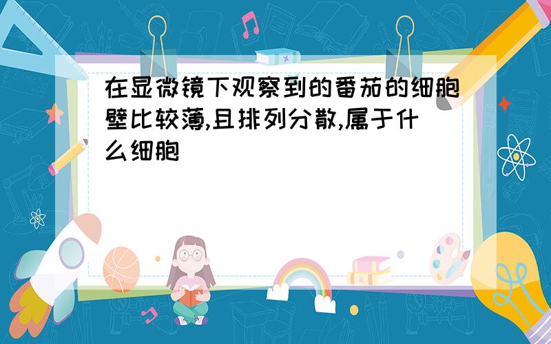 在显微镜下观察到的番茄的细胞壁比较薄,且排列分散,属于什么细胞