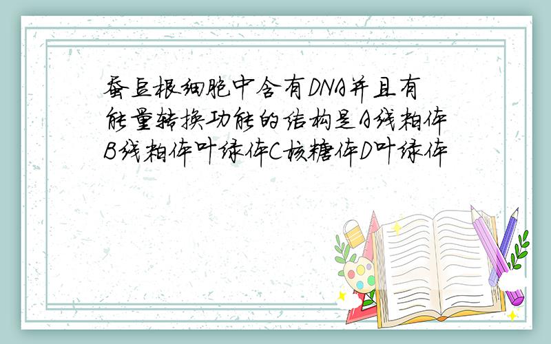 蚕豆根细胞中含有DNA并且有能量转换功能的结构是A线粒体B线粒体叶绿体C核糖体D叶绿体