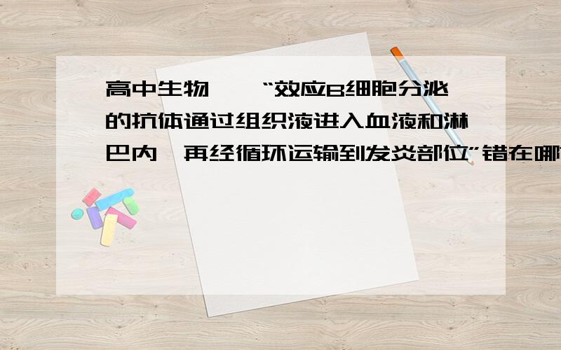 高中生物——“效应B细胞分泌的抗体通过组织液进入血液和淋巴内,再经循环运输到发炎部位”错在哪?天哪，你们说的都有理，可是意见也有些分歧，我该听谁的==