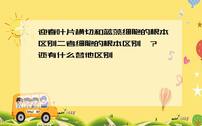 迎春叶片横切和蓝藻细胞的根本区别二者细胞的根本区别  ?还有什么替他区别